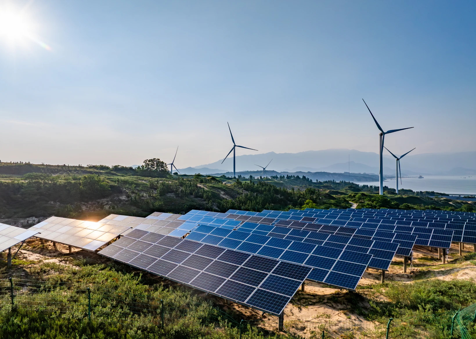 Solar and wind power generation site