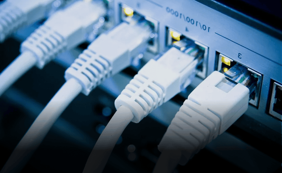 Close-up of white network cables